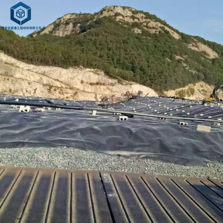 ���������(ch��ng)���w���BĤ